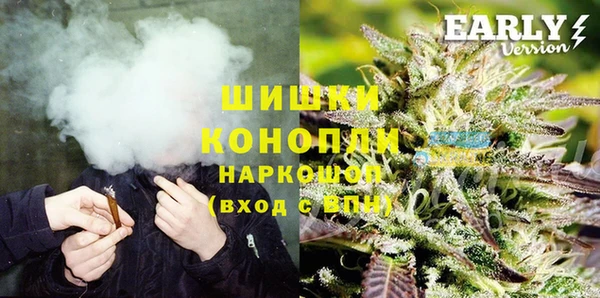 хмурый Михайловск