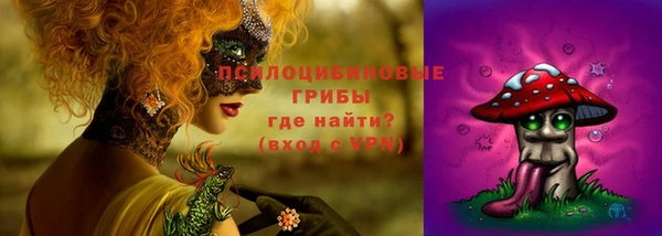 хмурый Михайловск