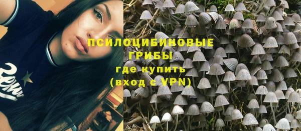 прущие грибы Аша