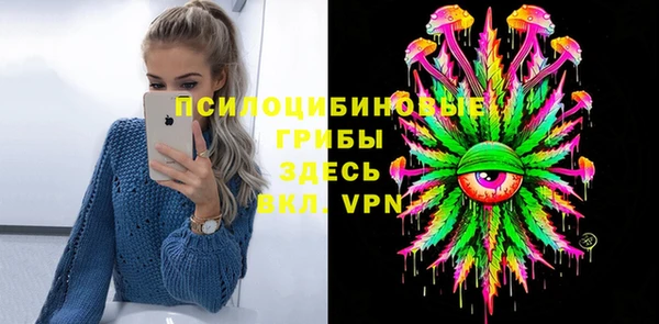 хмурый Михайловск