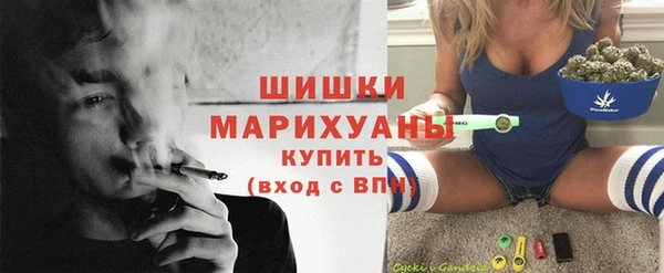 хмурый Михайловск